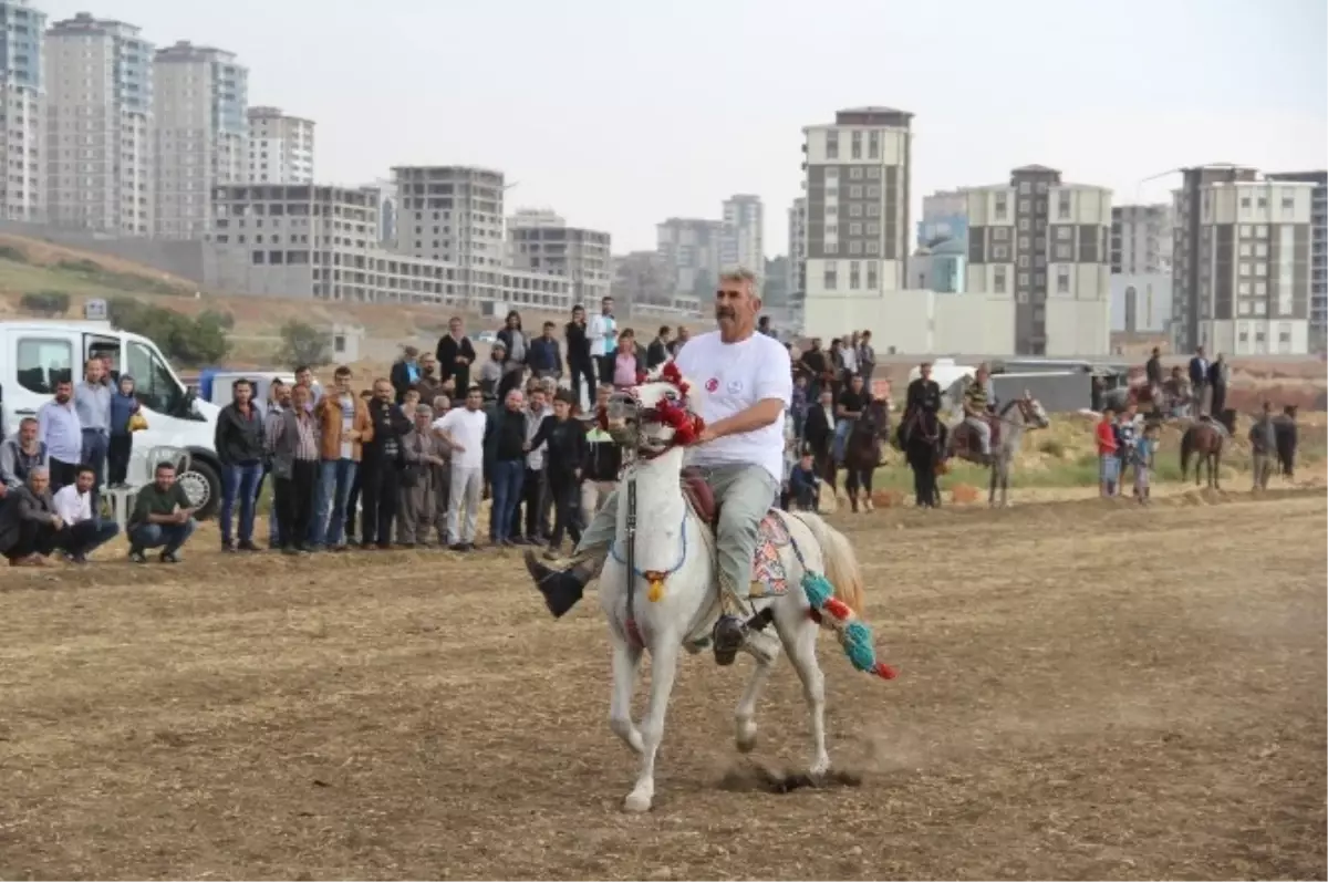 Rahvan Atları 15 Temmuz Şehitleri İçin Yarıştı