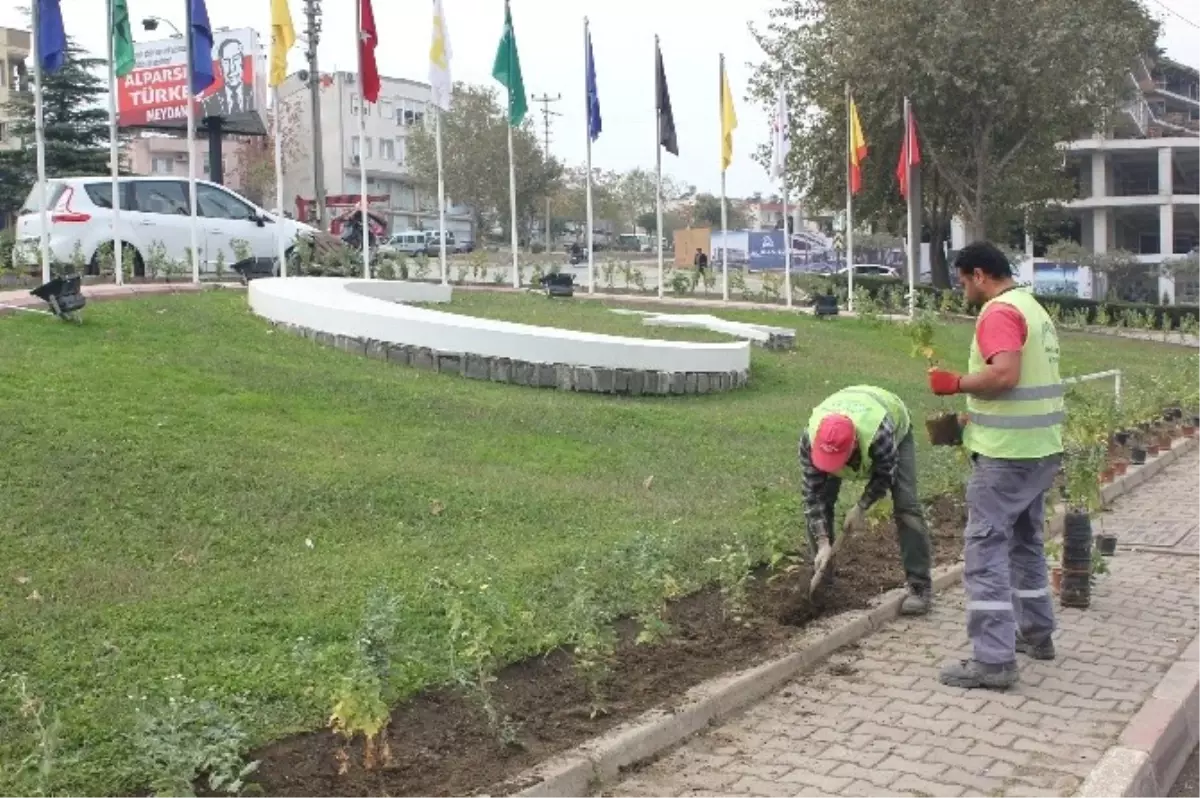 Turgutlu Çiçeklerle Renkleniyor