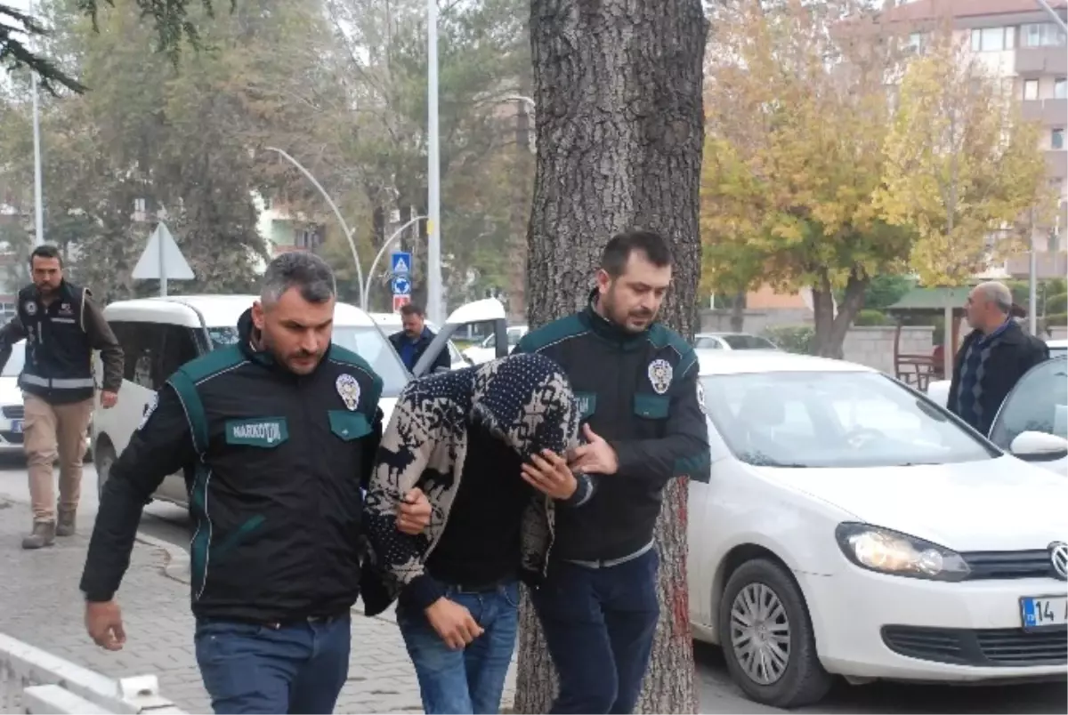 Bolu Polisinden Bonzai Satıcılarına Operasyon