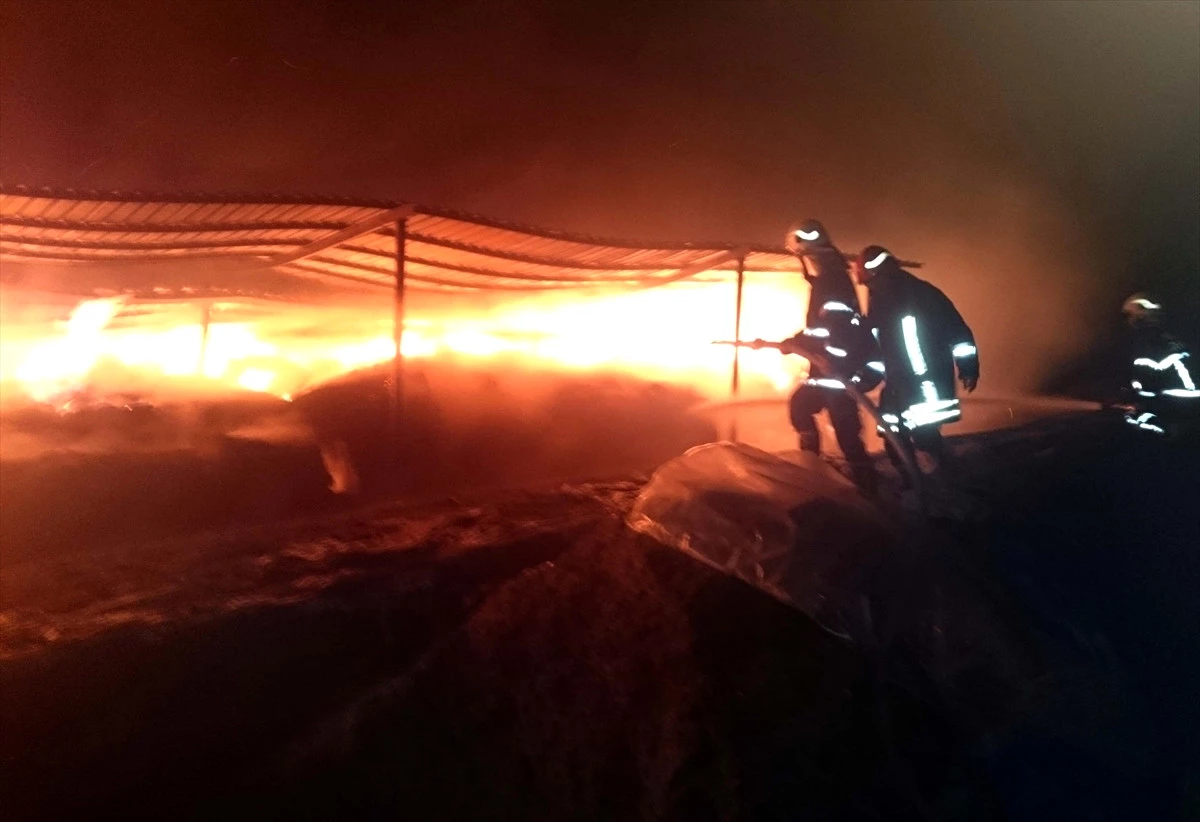 Gaziantep\'te Çiftlik Yangını