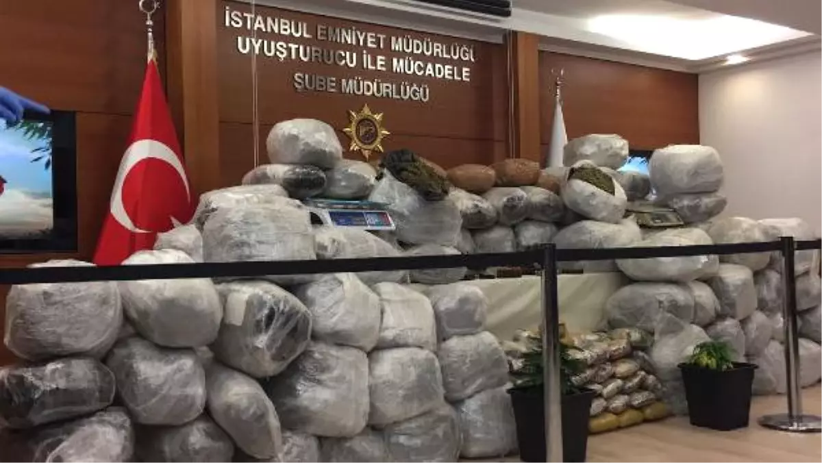 İstanbul\'da 556 Kilo Esrar Ele Geçirildi