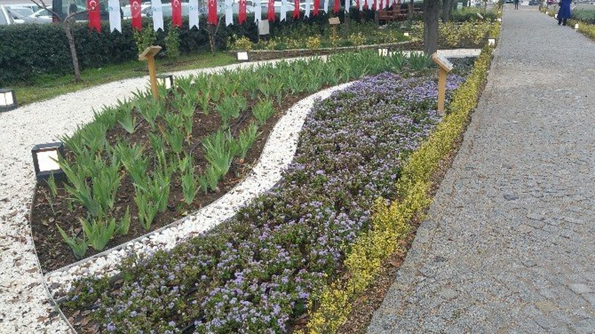 Kocaeli\'de "Tıbbi ve Aromatik Bitkiler Bahçesi" Açıldı