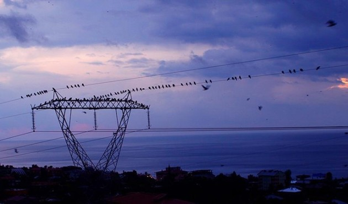 Spot Piyasada Elektrik Fiyatları