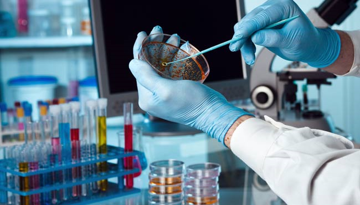 Tapdk ve İmü Tütün Laboratuvarı Kuracak