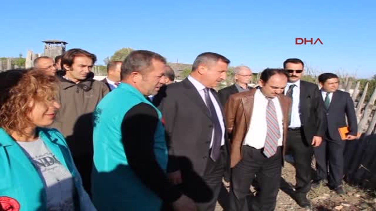 Burdur\'da Tedavi Edilen Leylek, Şahin ve Pelikan Doğaya Salındı