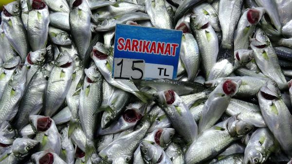 Çanakkale\'de Sarıkanatın Fiyatı 15 Liraya Düştü