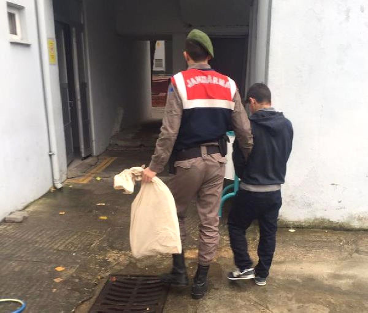 Evin Bahçesine Kenevir Eken Şüpheli Tutuklandı