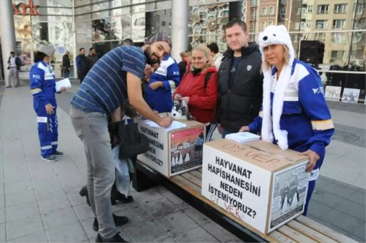 Hayvanat Bahçesini Protesto Ettiler