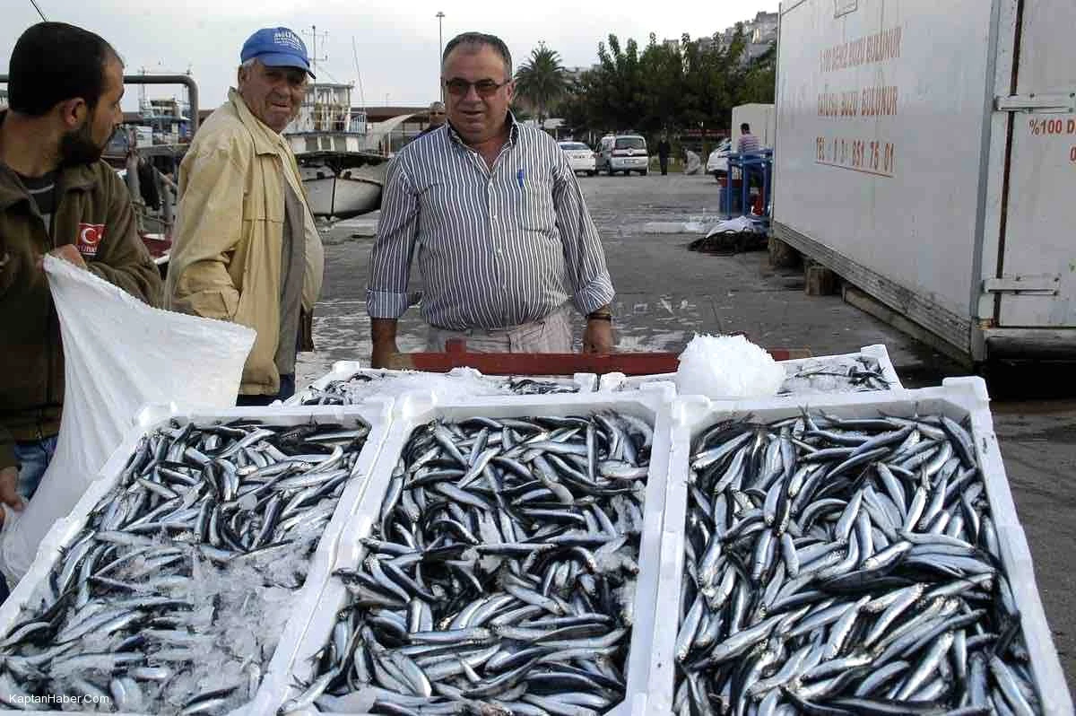 Karadenizli Balıkçılar Hamsi Konusunda Umutsuz