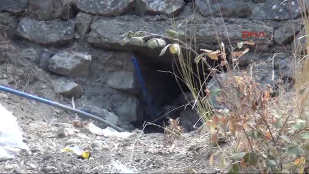 Manisa Spil Dağı\'na Terk Edilmiş Hayvanlar Unutulmadı