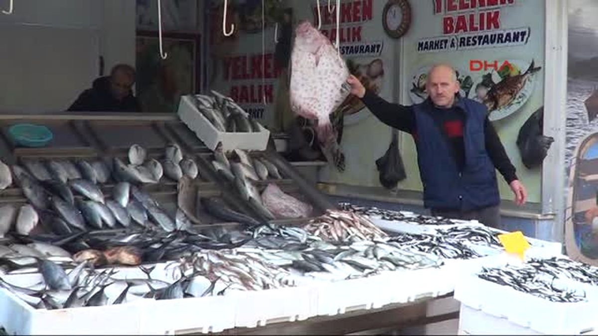 Samsun Karadeniz\'de Hamsi Bolluğu