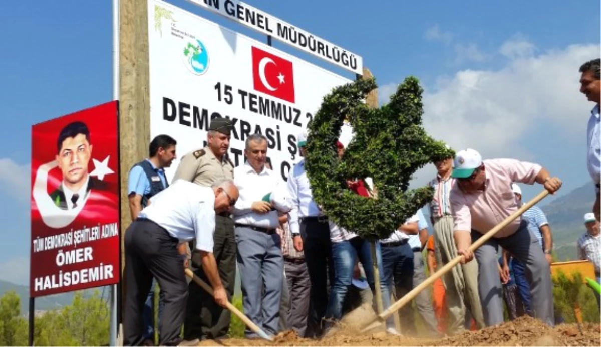 15 Temmuz Şehitlerinin Adı Hatıra Ormanında Yaşayacak