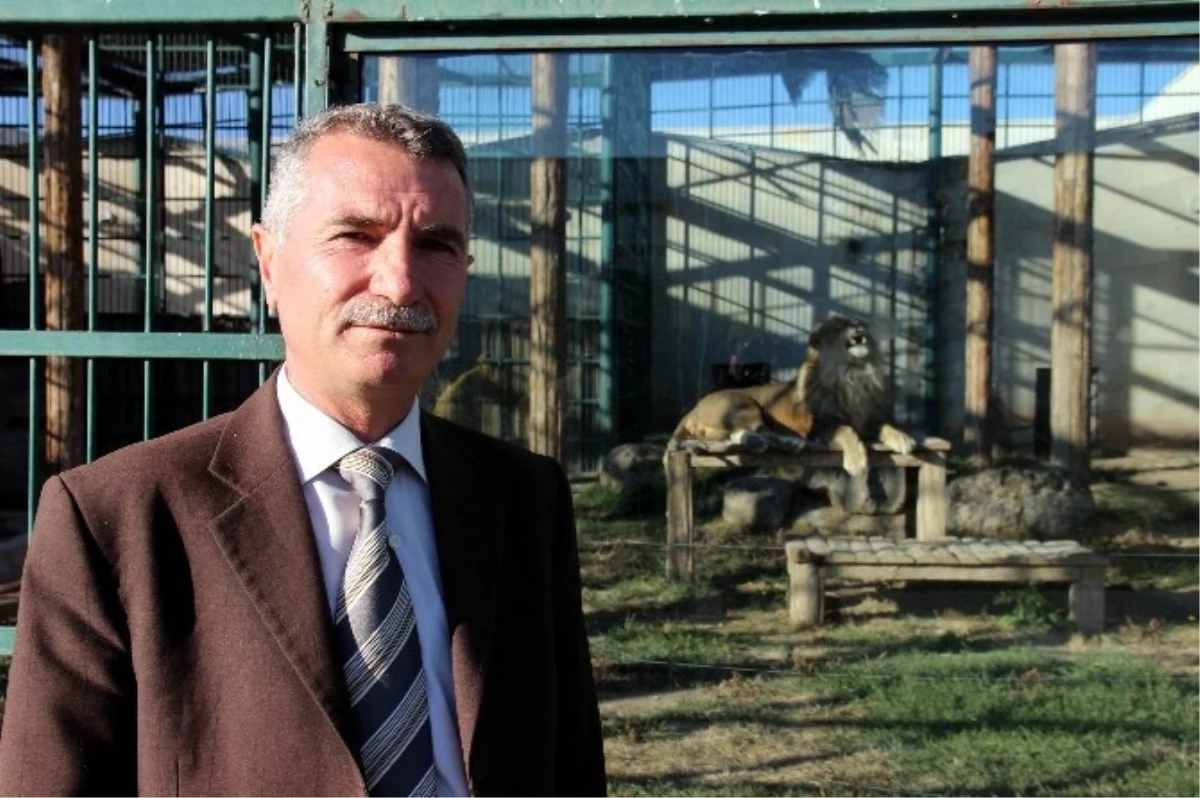 Anadolu Harikalar Diyarı Hayvanat Bahçesi Kışa Hazır
