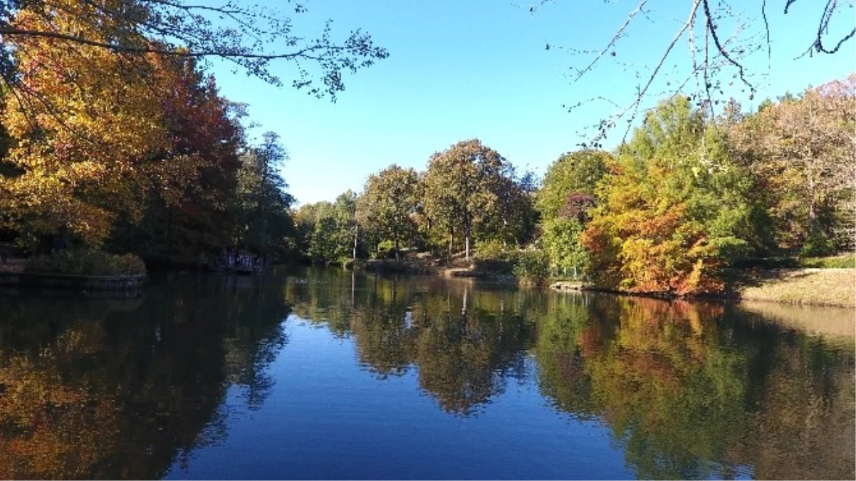 Atatürk Arboretumu\'nda Sonbahar Manzaraları Havadan Görüntülendi