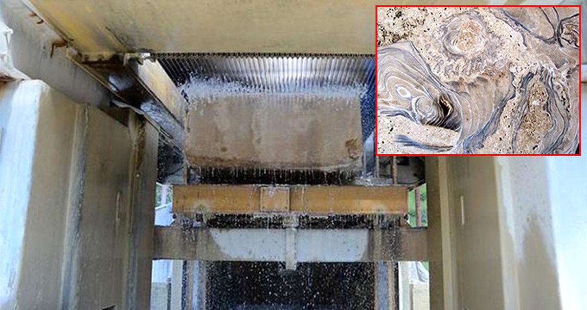 Bitlis'te Çıkarılan Mermerlerde Fosil Bulundu