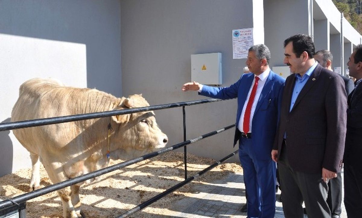 Erdem; "Türk Tarımı, Dünyada Artık Küresel Bir Aktör"