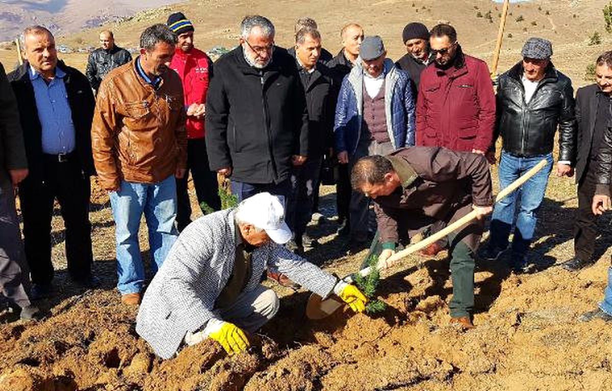 Suşehri\'nde 15 Temmuz Şehitleri İçin 5 Bin Fidan Dikildi