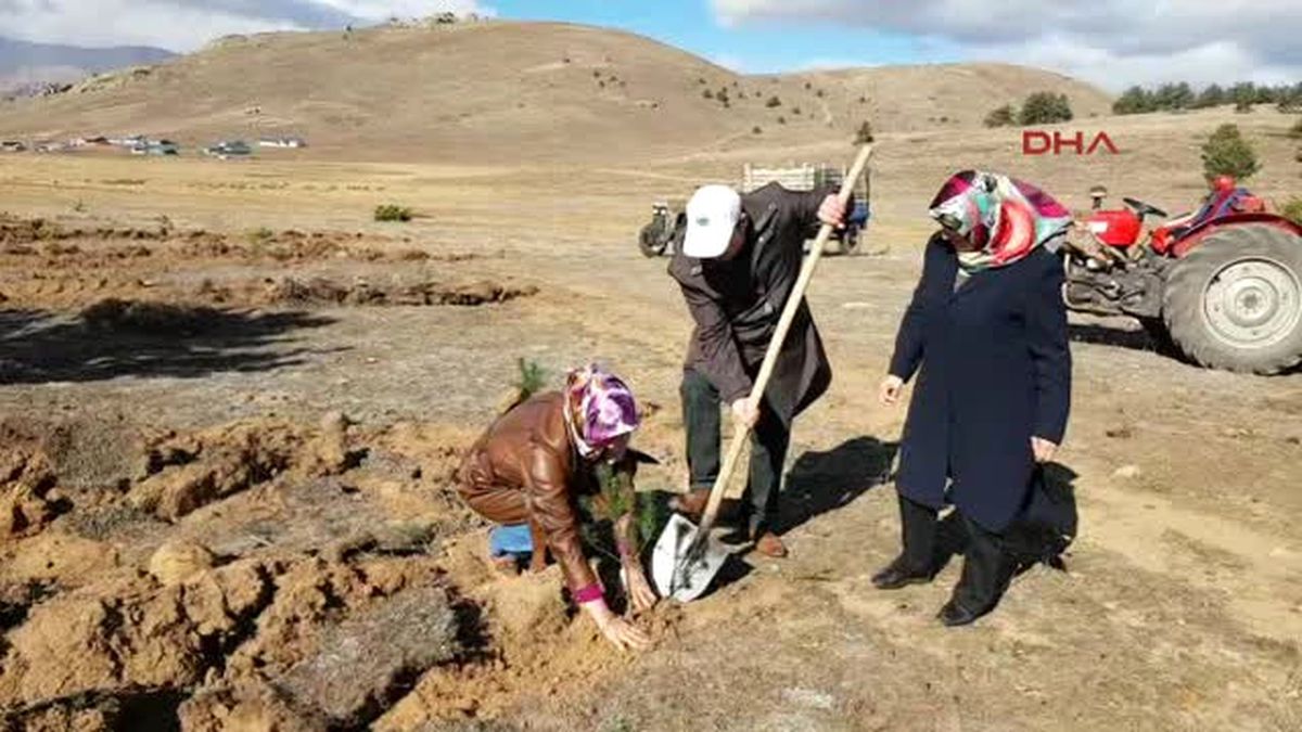 Suşehri\'nde 15 Temmuz Şehitleri Için 5 Bin Fidan Dikildi