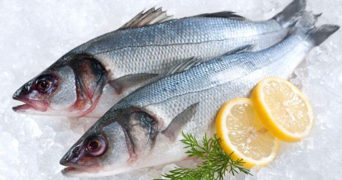 Tekirdağ\'da Balık Fiyatları