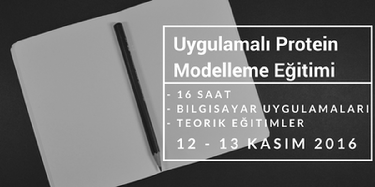 Uygulamalı Protein Modelleme Eğitimi