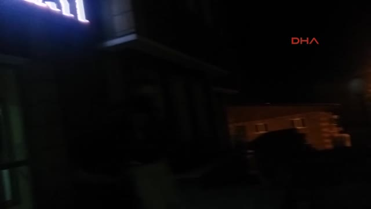 Bitlis?te 3 Daeş\'lı Tutuklandı