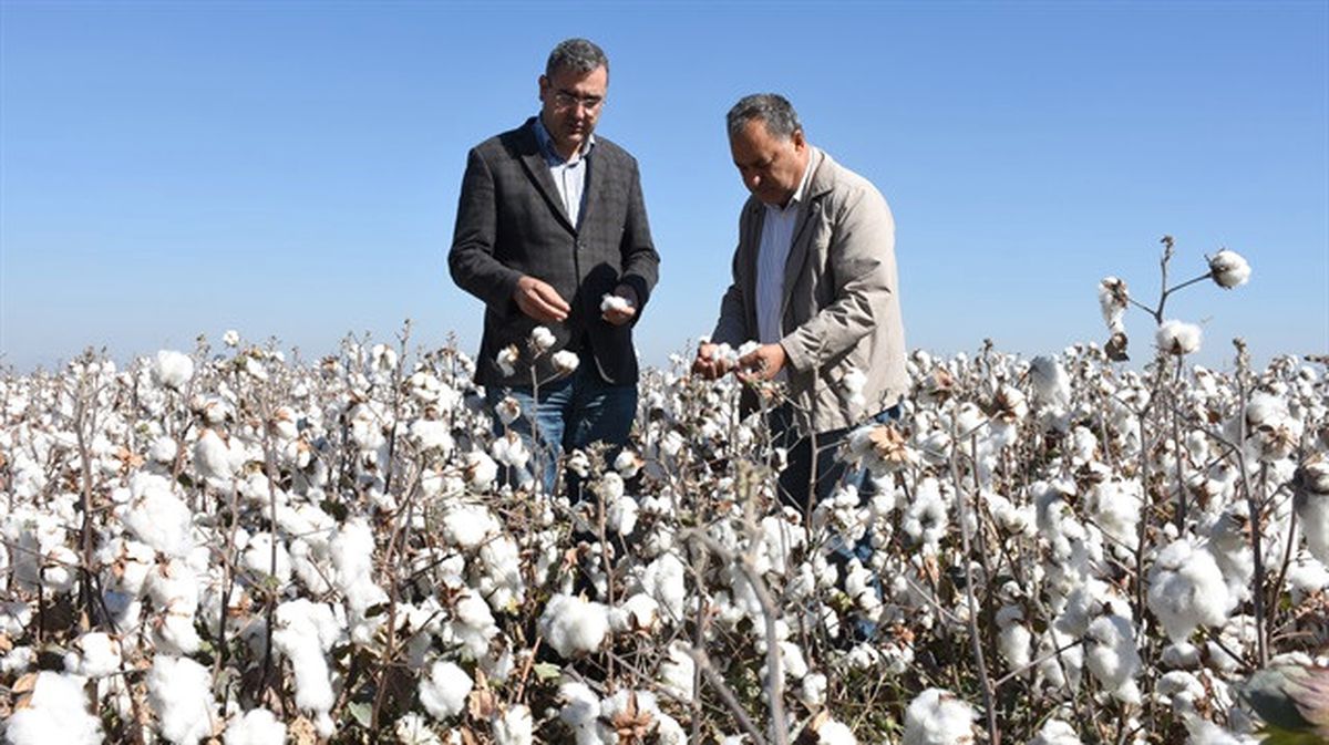 Denizli Ticaret Borsası