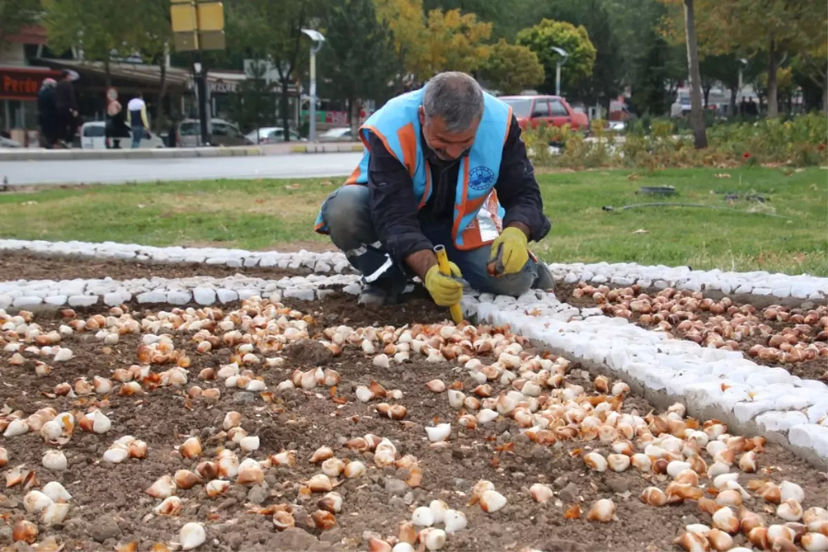 Elazığ Belediyesi, Rengarenk Bir Bahar İçin Çalışmalara Başladı