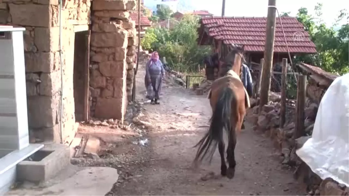 Karı Koca 40 Yıldır Nalbantlık Yapıyor