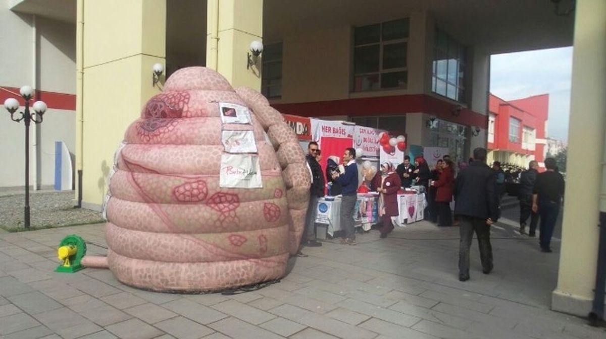 Koca Ciğer Düzce\'de