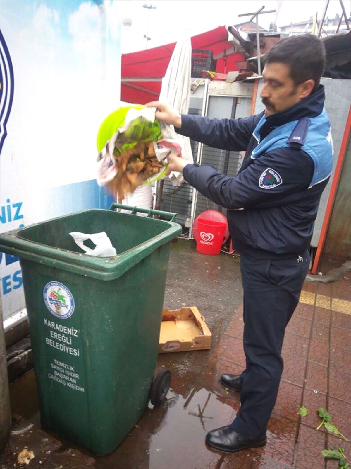 Pazarda Satılan Yabani Mantarlar Toplandı