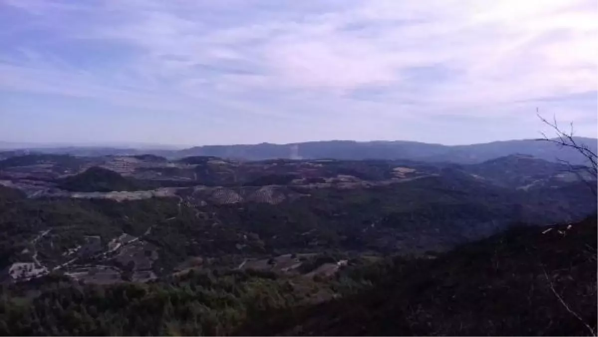 Yayladağı'na 4 Havan Mermisi Düştü