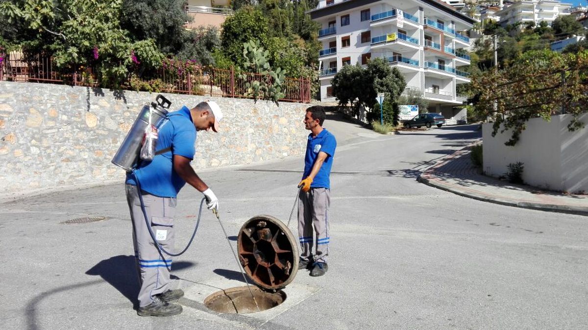 Antalya Büyükşehir Belediyesi Sinekle mücadele hız kesmiyor