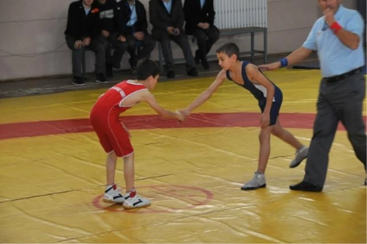 Bulgaristan\'da Serbest Güreş Turnuvası