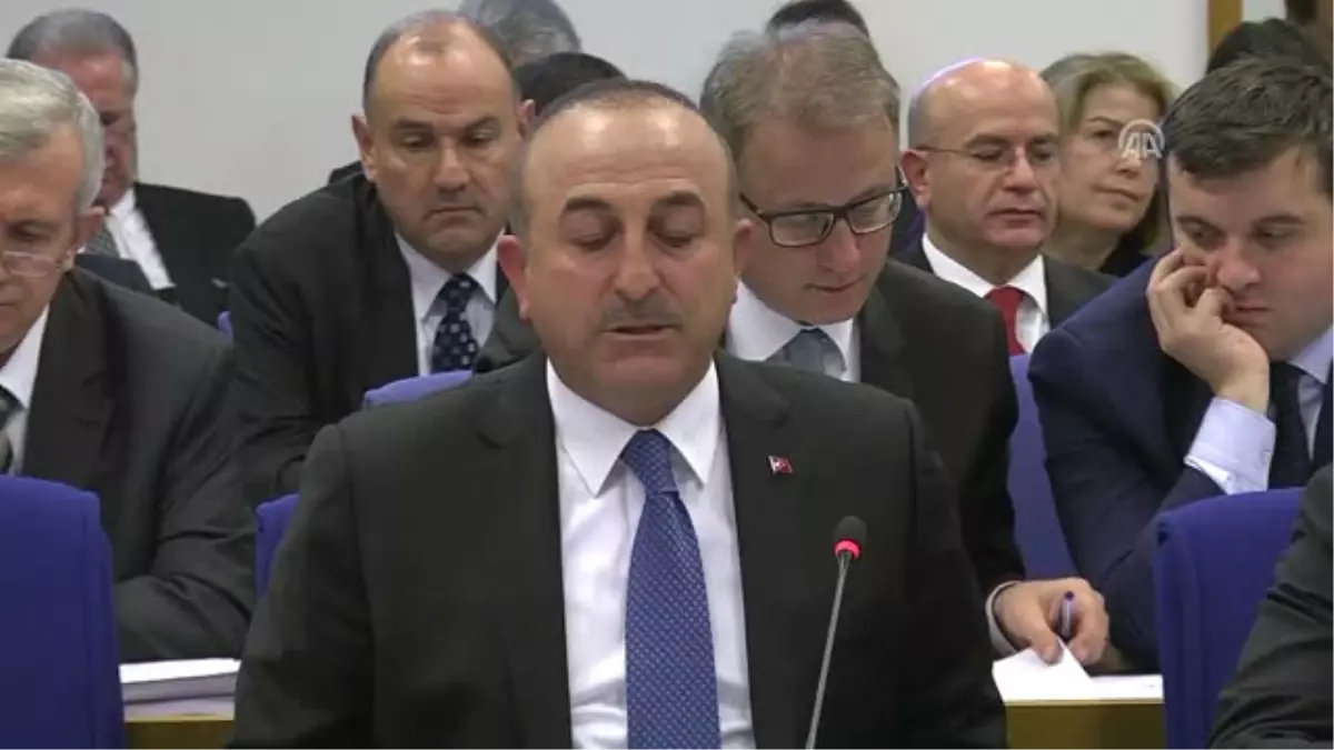 Çavuşoğlu: 