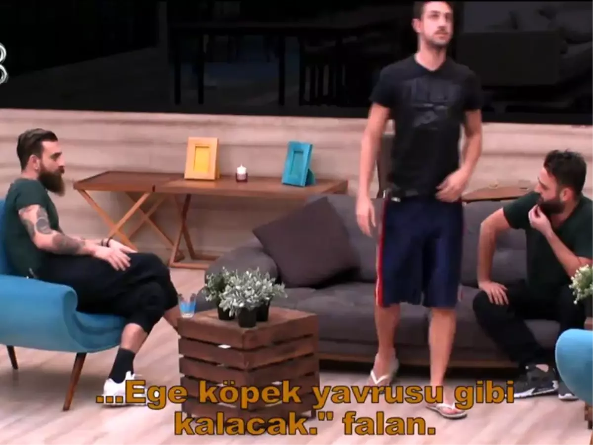 Ege\'ye Yapılan Benzetme Ortalığı Karıştırdı! Bulut\'la Yüzleştiler...