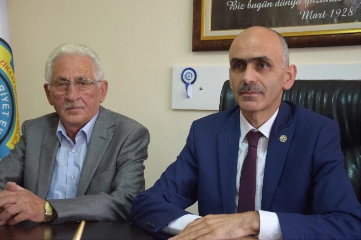 Giresun Ziraat Odası Başkanı Karan: "Fındık Fiyatı Şuanda Maliyetinin Altında İşlem Görmektedir"