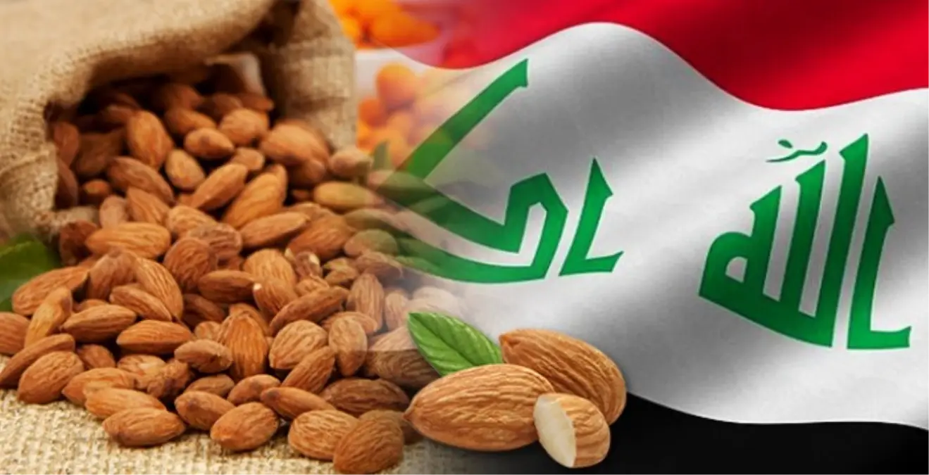 Iraklı Müşteri Toptan Badem İçi Satın Alacak