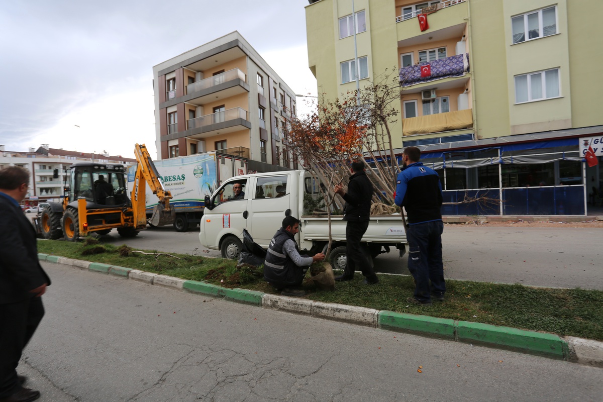 Karanfil Caddesi Gürsu\'nun Gelişen Yüzüne Yakışacak