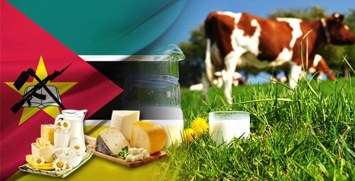 Mozambik\'te Sütler Türk Malı Tesislerde İşlenecek