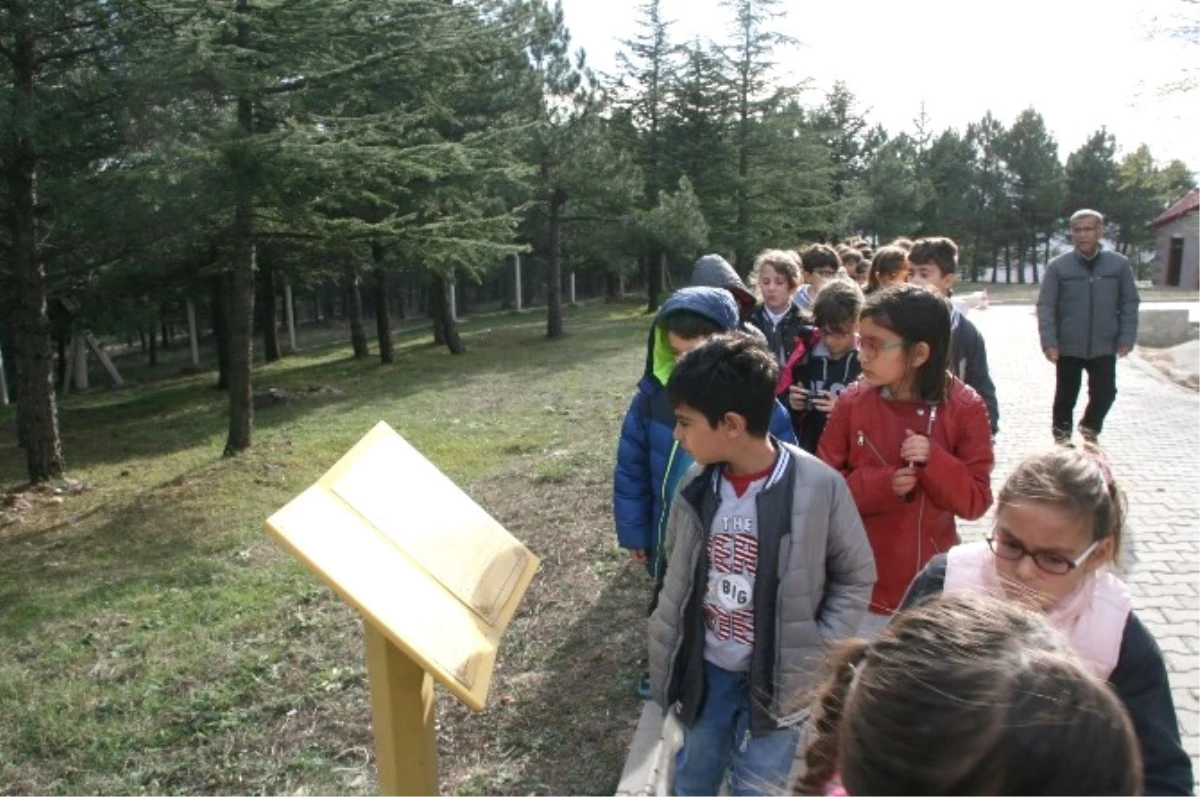 Tarihi Yerinde Öğrendiler