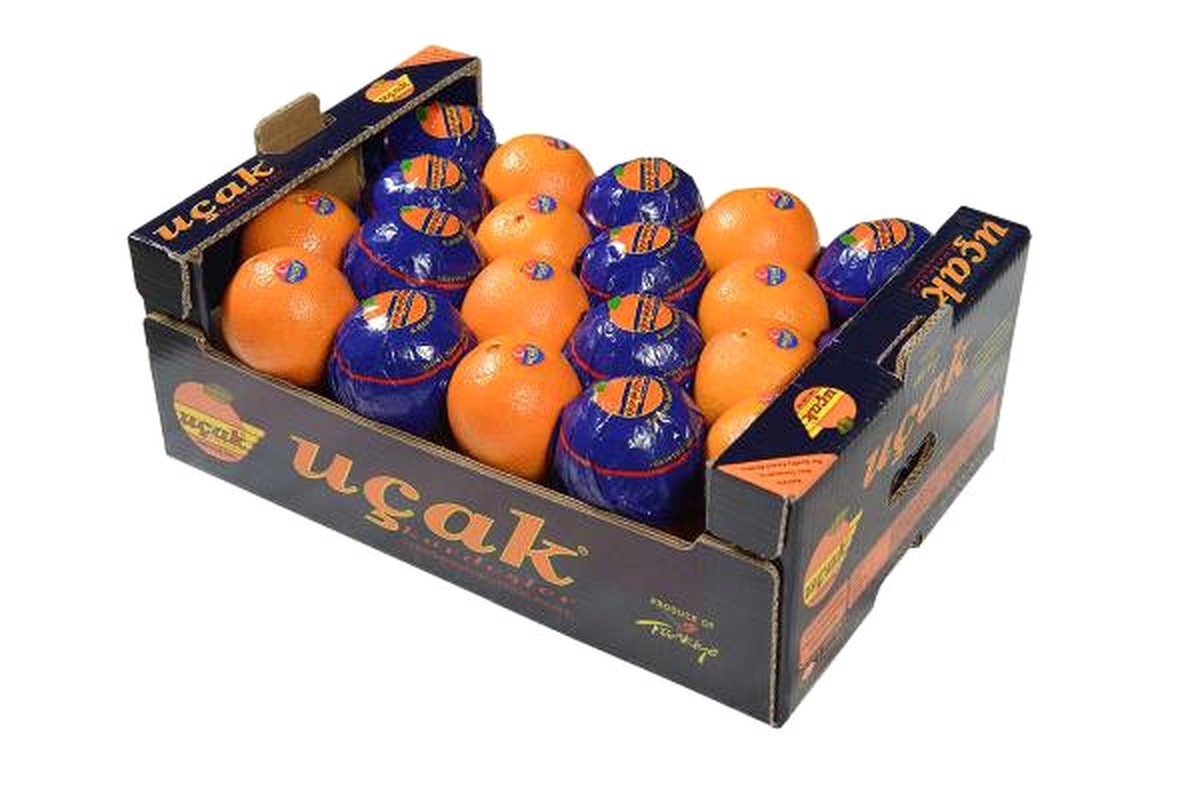 Uçak\'lı Narenciye Rusya\'ya Girdi