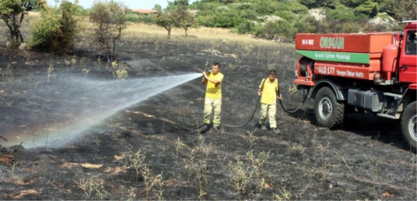 Çanakkale\'de Tarım Arazisi Yangını