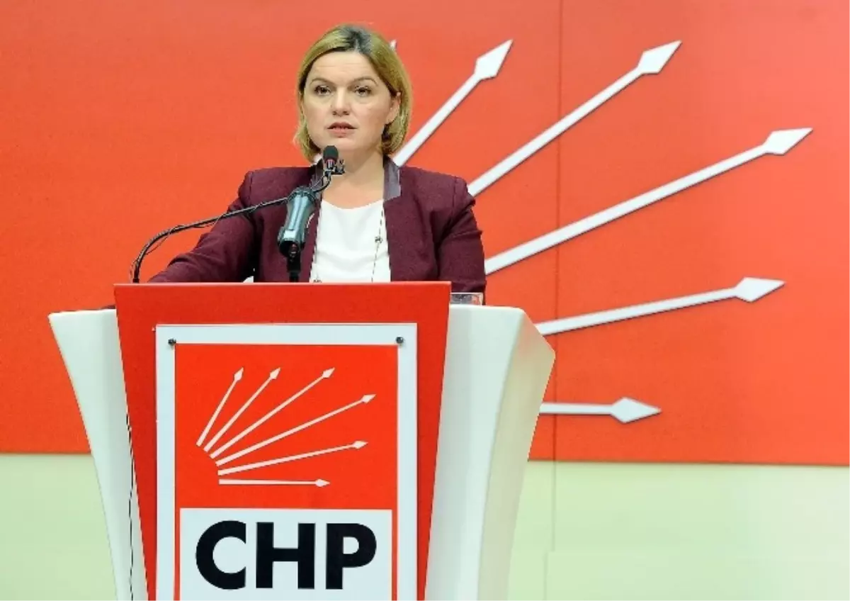 CHP\'li Böke, Pm Bildirgesine Yönelik Eleştirileri Değerlendirdi