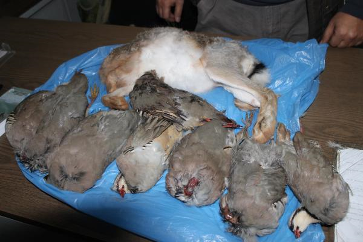 Kaçak 4 Avcıya 5 Bin 800 TL Ceza Kesildi