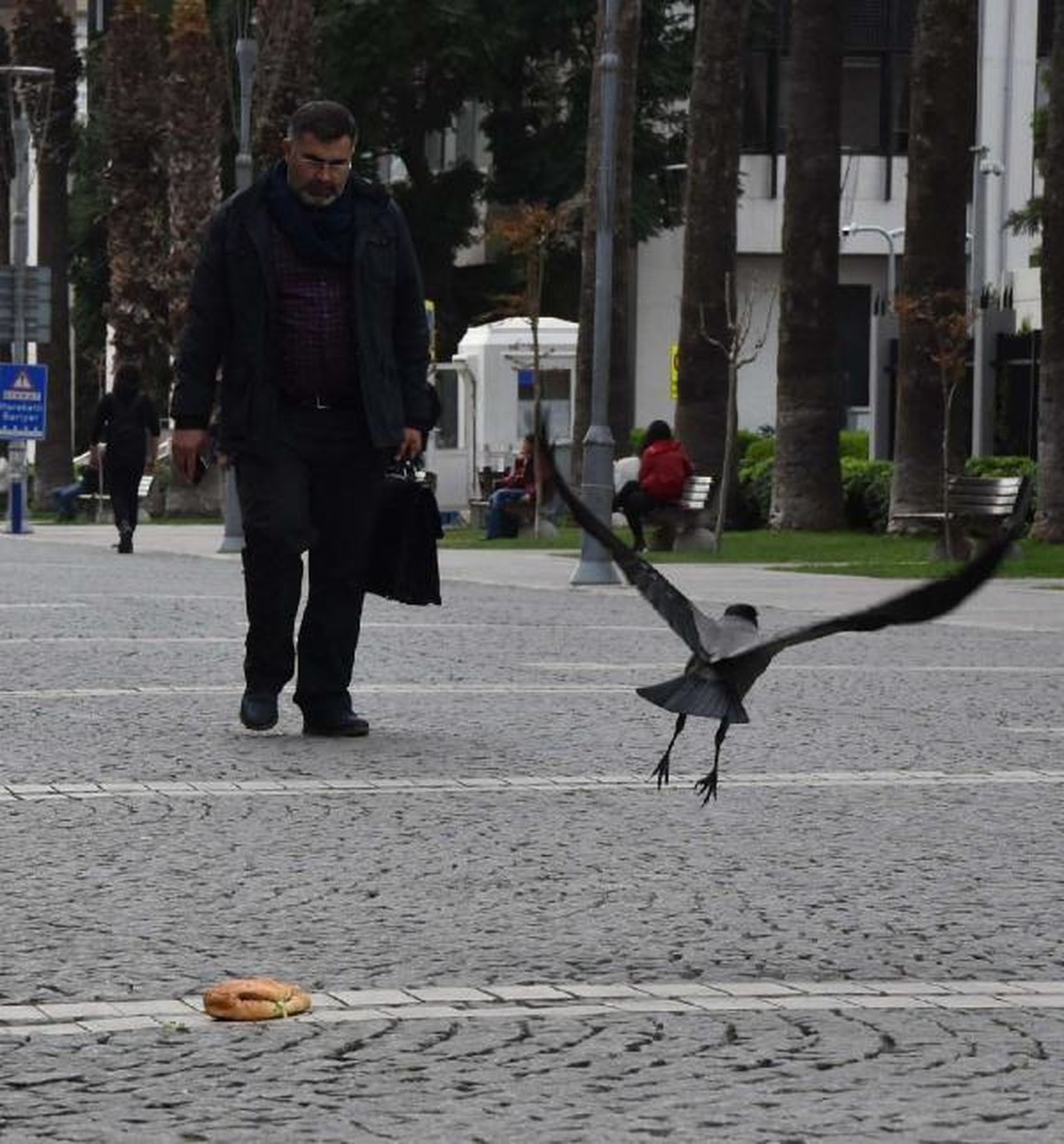 Karganın Ekmek Arası Döner Ziyafeti