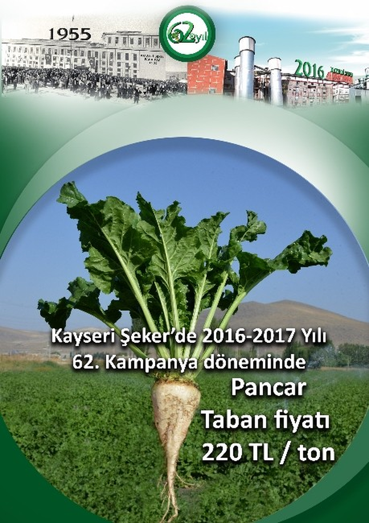 Kayseri Şeker\'den Şeker Pancarına 220 TL Rekor Taban Fiyat