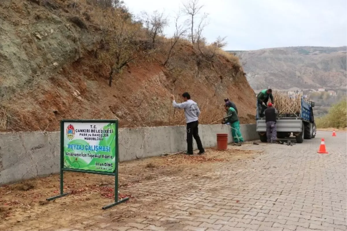 Sarmaşıklar Çankırı\'nın Boş Duvarlarını Süsleyecek