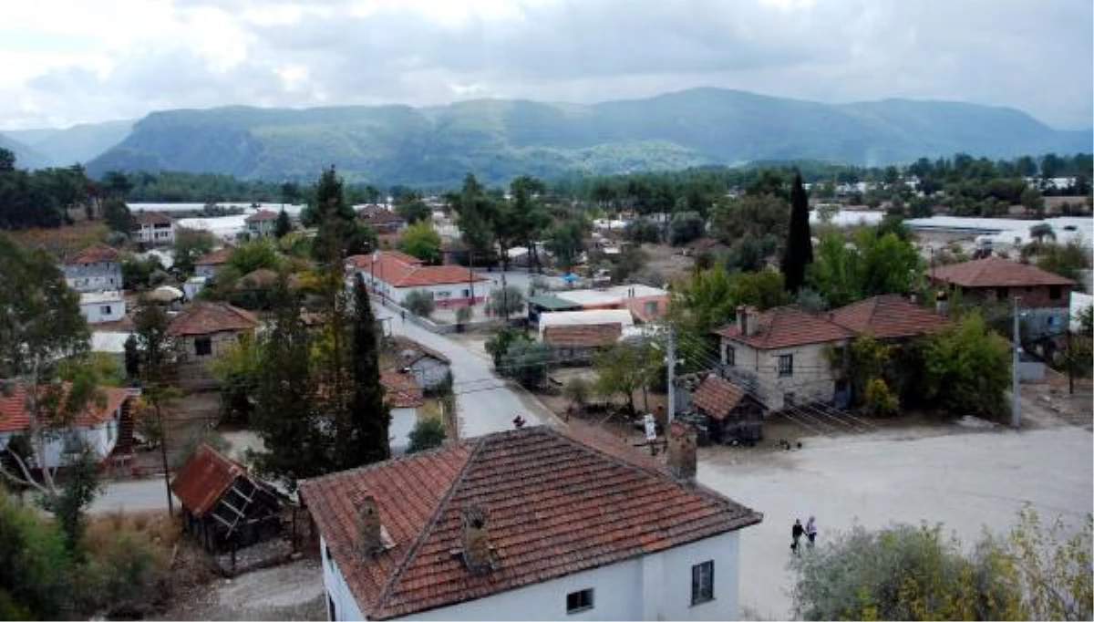 Seracılık ve Nar Üretimi Tersine Göç Başlattı