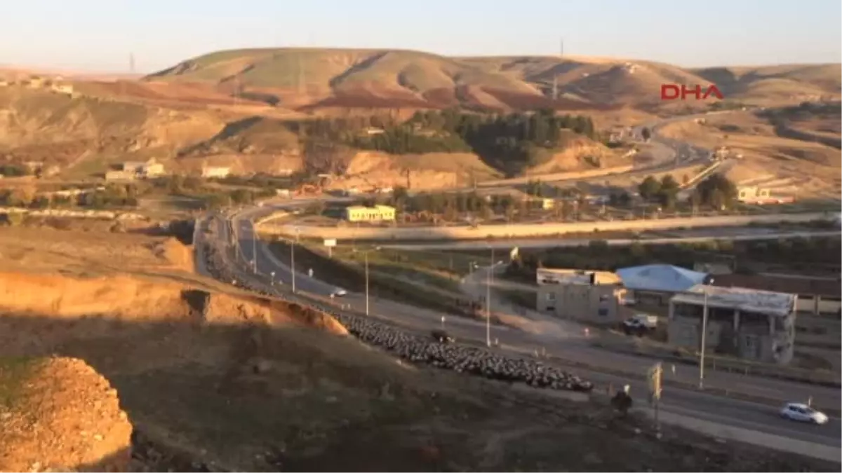 Siirt Karayoluna Inen Koyun Sürüsü Trafiği Aksattı