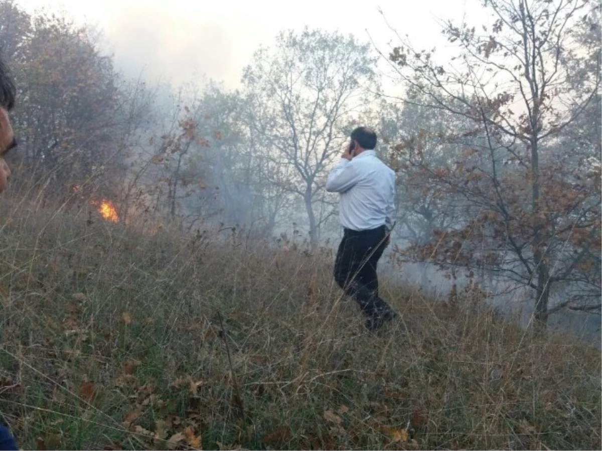 Biga\'da 5 Hektar Tarım Arazisi Yandı